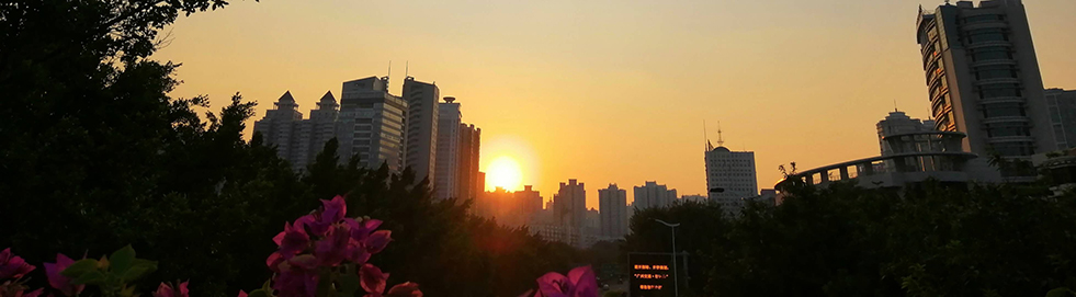 广州市校园高价值专利培育大赛